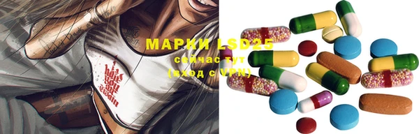 винт Абаза