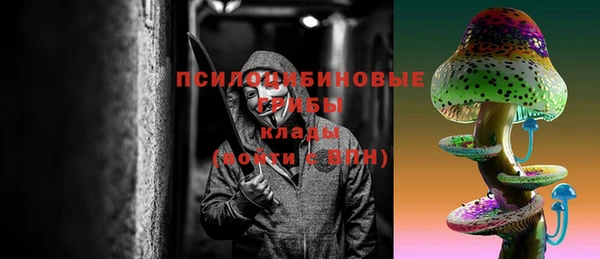 винт Абаза