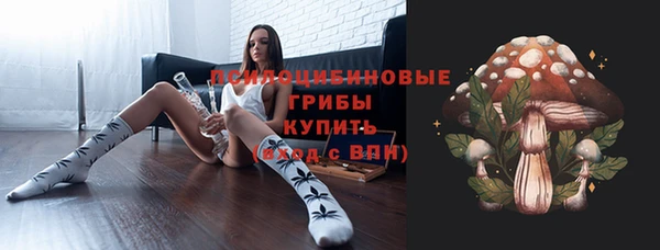 винт Абаза