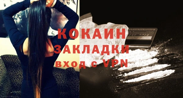 винт Абаза